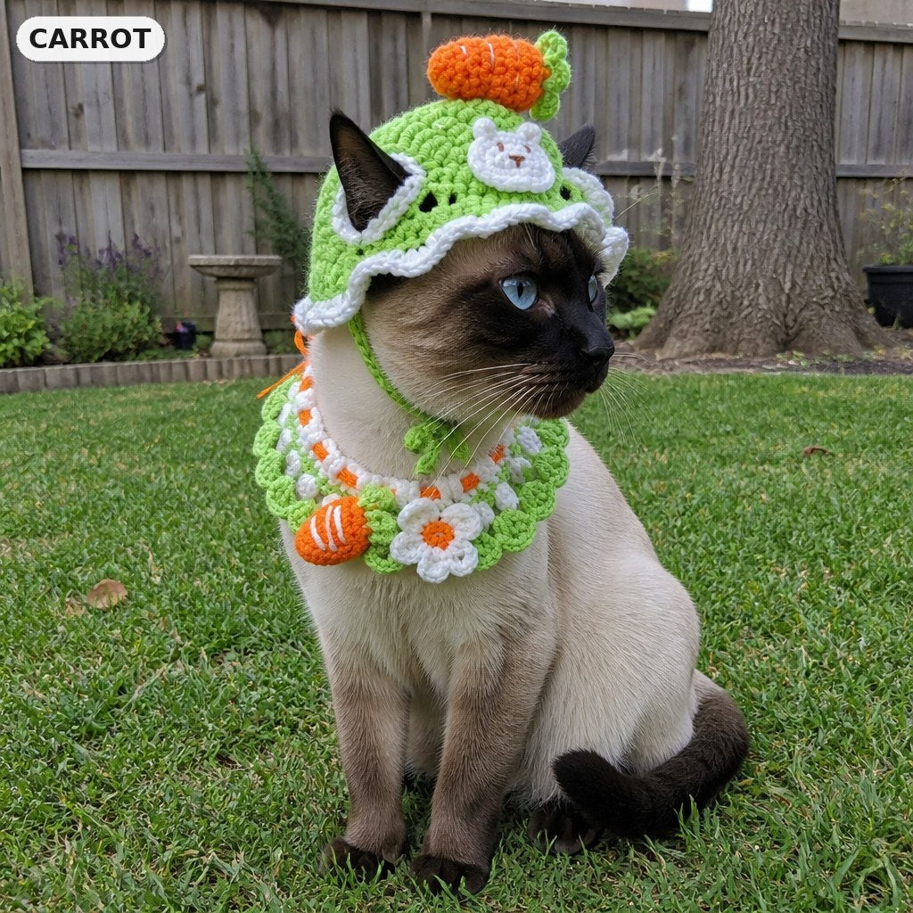 Carrot Set crochet hat and matching bib