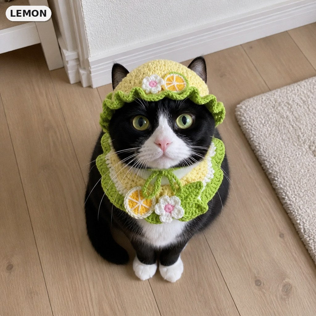 Lemon Set crochet hat and matching bib