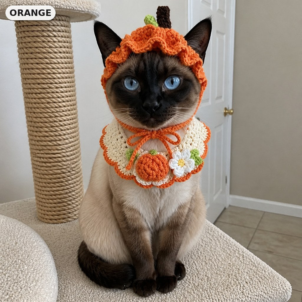 Orange Set crochet hat and matching bib